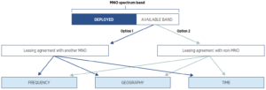 Spectrum leasing overview