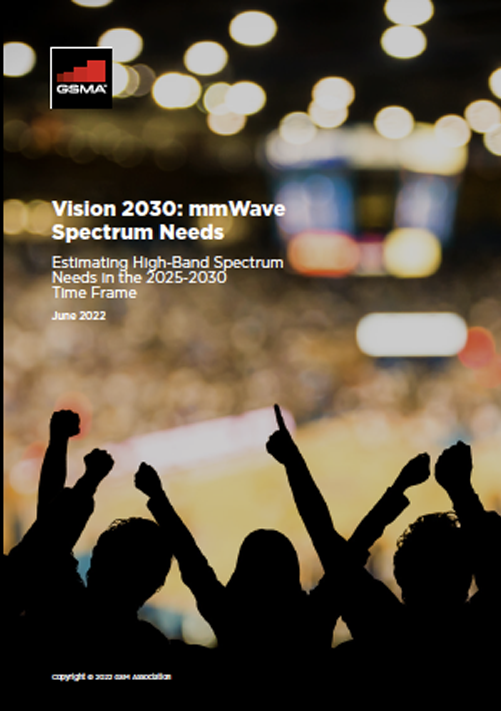 Vision 2030: mmWave Spectrum Needs