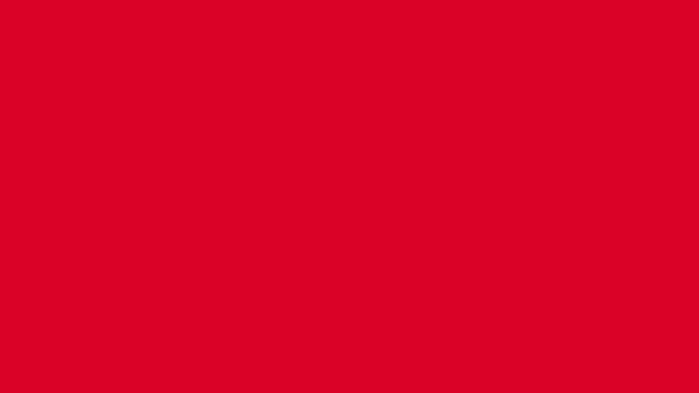 A solid red rectangle fills the entire image. There are no patterns, textures, objects, or text visible—just a uniform, vibrant red color throughout.