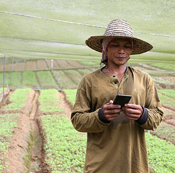 A person wearing a wide-brimmed straw hat and brown shirt stands in a greenhouse or covered farm, looking at a mobile phone. Neatly arranged green crops grow in rows behind them under the shade netting.