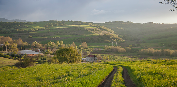 A dirt path leads through green grassy fields towards a small house surrounded by trees. Rolling hills covered in lush vegetation stretch into the distance under a cloudy sky with soft sunlight illuminating the landscape.