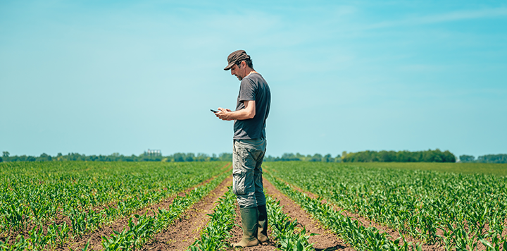 A man in a cap, T-shirt, trousers, and boots stands in a green crop field under a blue sky, looking at a device in his hands. Rows of young plants stretch into the distance, with trees and a structure visible on the horizon.